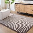 Fossay Rug - Machine Washable Modern Shaggy - FSG2331 - Ivory & Dark Brown - Sizes Available