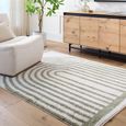 Fossay Rug - Machine Washable Modern Shaggy - FSG2312 - Ivory & Green - Sizes Available