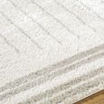 Fossay Rug - Machine Washable Modern Shaggy - FSG2309 - Medium Ivory & Grey - Sizes Available