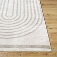 Fossay Rug - Machine Washable Modern Shaggy - FSG2313 - Medium Ivory & Grey - Sizes Available