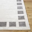 Fossay Rug - Machine Washable Modern Shaggy - FSG2317 - Medium Ivory & Grey - Sizes Available