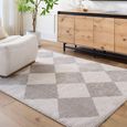 Fossay Rug - Machine Washable Modern Shaggy - FSG2327 - Medium Ivory & Grey - Sizes Available
