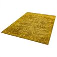 Clearance - Contemporary Design Zehraya Rug - 200cm x 290cm - Abstract Gold - FSS16512