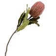 Bouquet - Large - King Protea - Artificial