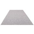Boho Boden Rug - Grey - Sizes Available