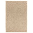 Boho Boden Rug - Sand - Sizes Available