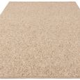 Boho Boden Rug - Sand - Sizes Available