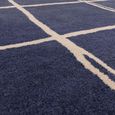 Contemporary Design Albany Rug - Marine Grid - Sizes Available