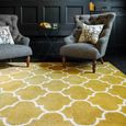 Contemporary Design Albany Rug - Ogee Ochre - Sizes Available