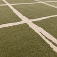 Contemporary Design Albany Rug - Olive Grid - Sizes Available