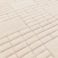 Contemporary Design Empire Rug - Cream and Neutral - Sizes Available