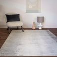 Contemporary Design Juno Rug - Greige - Sizes Available