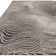 Contemporary Design Mason Rug - Magnitude - Sizes Available