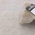 Contemporary Design Mason Rug - Trapezium - Sizes Available