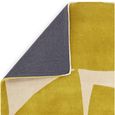 Contemporary Design Romy Rug - Kite - Chartreuse - Sizes Available