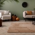Contemporary Design Tova Rug - Clay - Sizes Available