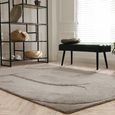 Contemporary Design Tova Rug - Moleskin - Sizes Available