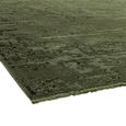 Contemporary Design Zehraya Rug - Abstract Green - 120cm x 180cm