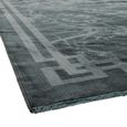 Contemporary Design Zehraya Rug - Border Grey - Sizes Available