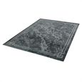 Contemporary Design Zehraya Rug - Border Grey - Sizes Available