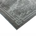 Contemporary Design Zehraya Rug - Border Silver - Sizes Available