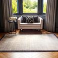 Contemporary Plain Blade Rug - Border 10 - Putty Charcoal - Sizes Available