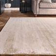 Contemporary Plain Blade Rug - Putty - Sizes Available