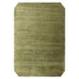 Contemporary Plain Gleam Rug - Sage - Sizes Available