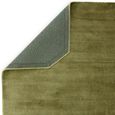 Contemporary Plain Gleam Rug - Sage - Sizes Available