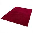 Contemporary Plain Milo Rug - Berry - Sizes Available