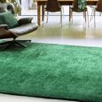 Contemporary Plain Milo Rug - Green - Sizes Available