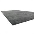 Contemporary Plain Milo Rug - Grey - Sizes Available