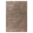Contemporary Plain Milo Rug - Mink - Sizes Available