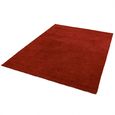 Contemporary Plain Milo Rug - Red - Sizes Available