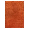 Contemporary Plain Milo Rug - Rust - Sizes Available
