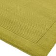 Contemporary Plain York Rug - Green - Sizes Available