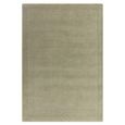 Contemporary Plain York Rug - Sage - Sizes Available