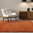 Contemporary Plain York Rug - Terracotta - Sizes Available