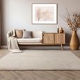 Cosy Textures Lulu Soft Touch Rug - Ivory - Sizes Available