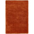 Cosy Textures Lulu Soft Touch Rug - Spice - Sizes Available