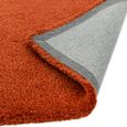Cosy Textures Lulu Soft Touch Rug - Spice - Sizes Available
