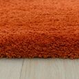 Cosy Textures Lulu Soft Touch Rug - Spice - Sizes Available