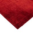 Cosy Textures Payton Rug - Red - Sizes Available