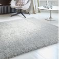 Cosy Textures Payton Rug - Silver - Sizes Available