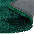 Cosy Textures Plush Rug - Emerald - Sizes Available