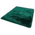 Cosy Textures Plush Rug - Emerald - Sizes Available