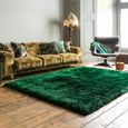 Cosy Textures Plush Rug - Emerald - Sizes Available