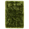 Cosy Textures Plush Rug - Green - Sizes Available