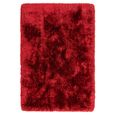 Cosy Textures Plush Rug - Red - Sizes Available