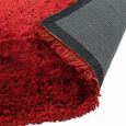 Cosy Textures Plush Rug - Red - Sizes Available